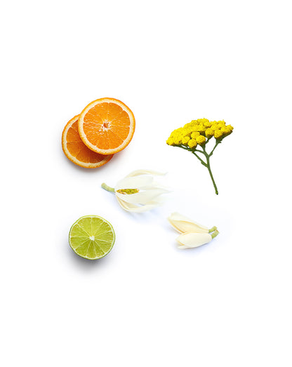 Après-shampooing sans rinçage dōTERRA, 237 ml