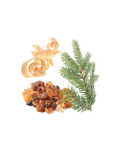 Balance mélange d'huiles essentielles dōTERRA, 15 ml