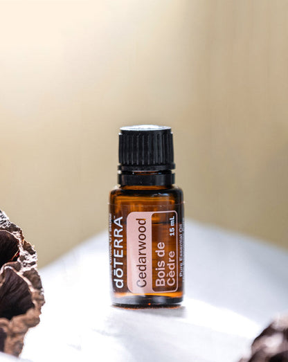 Bois de cèdre (Cedarwood) huile essentielle dōTERRA, 15 ml