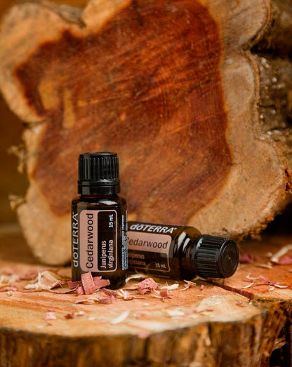 Bois de cèdre (Cedarwood) huile essentielle dōTERRA, 15 ml