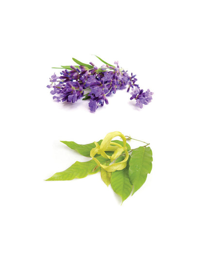 Calmer mélange relaxant dōTERRA, 10 ml