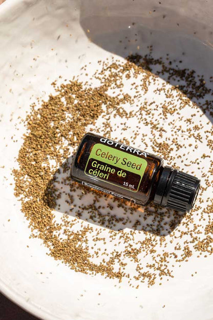 Graines de céleri (Celery Seed) huile essentielle dōTERRA, 15 ml