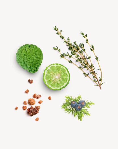 Forgive mélange d'huiles essentielles dōTERRA, 5 ml