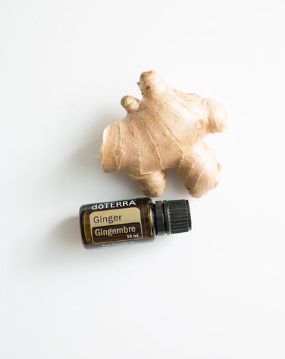 Gingembre huile essentielle dōTERRA, 15 ml