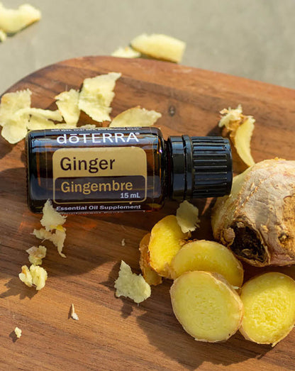 Gingembre huile essentielle dōTERRA, 15 ml
