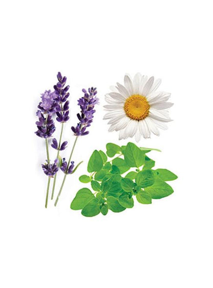 Serenity Combo Pack dōTERRA