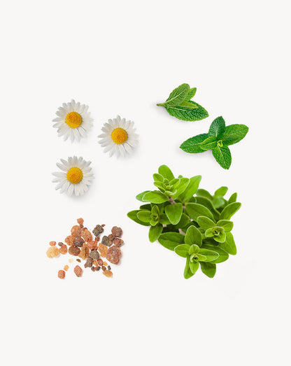 PastTense mélange en applicateur à bille dōTERRA, 10 ml