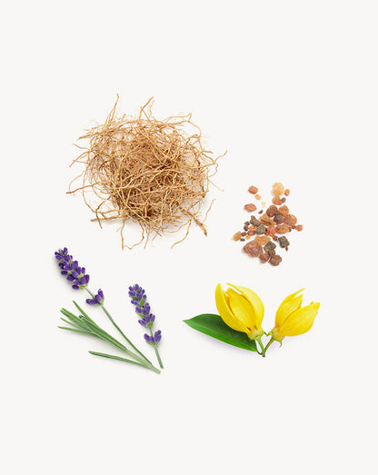 Peace Touch mélange en applicateur à bille dōTERRA, 10 ml