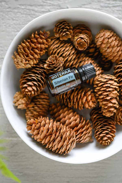 Sapin de Sibérie huile essentielle dōTERRA, 15 ml