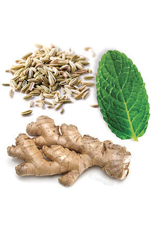 ZenGest mélange d'huiles essentielles dōTERRA, 15 ml